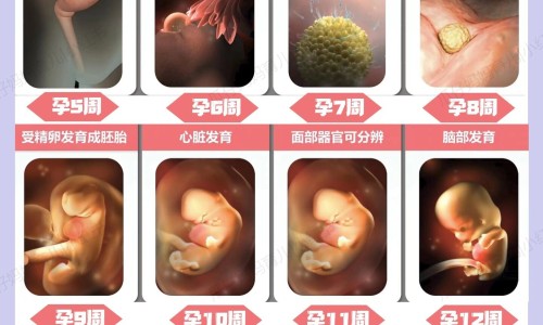 大家的功效网—知名的大祘作用与功效网站,分享大蒜的功效知识